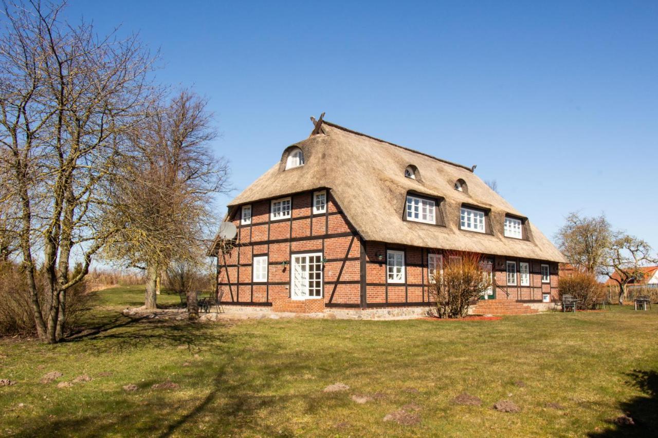 Reet Und Meer Beckerwitz Hohenkirchen  ภายนอก รูปภาพ