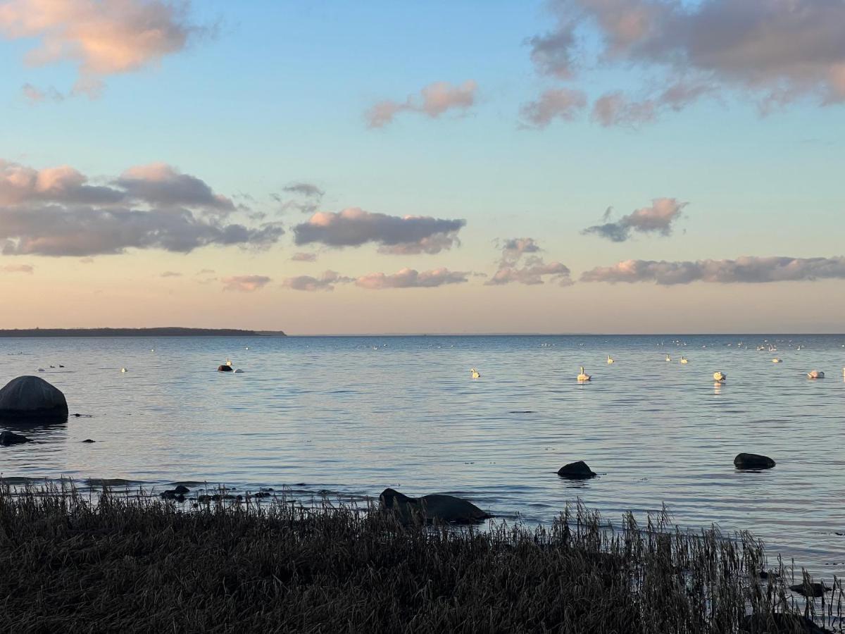 Reet Und Meer Beckerwitz Hohenkirchen  ภายนอก รูปภาพ
