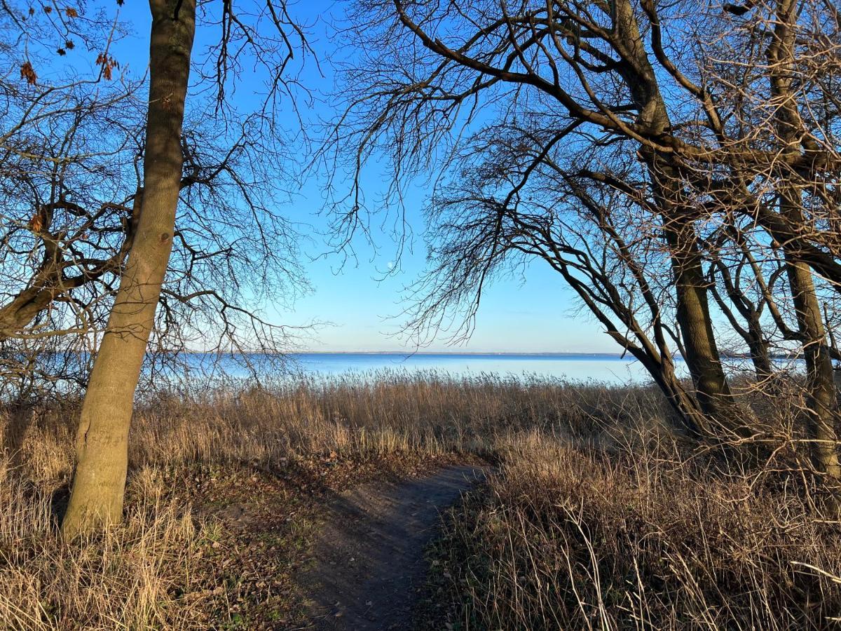 Reet Und Meer Beckerwitz Hohenkirchen  ภายนอก รูปภาพ