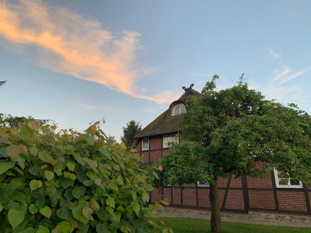 Reet Und Meer Beckerwitz Hohenkirchen  ภายนอก รูปภาพ