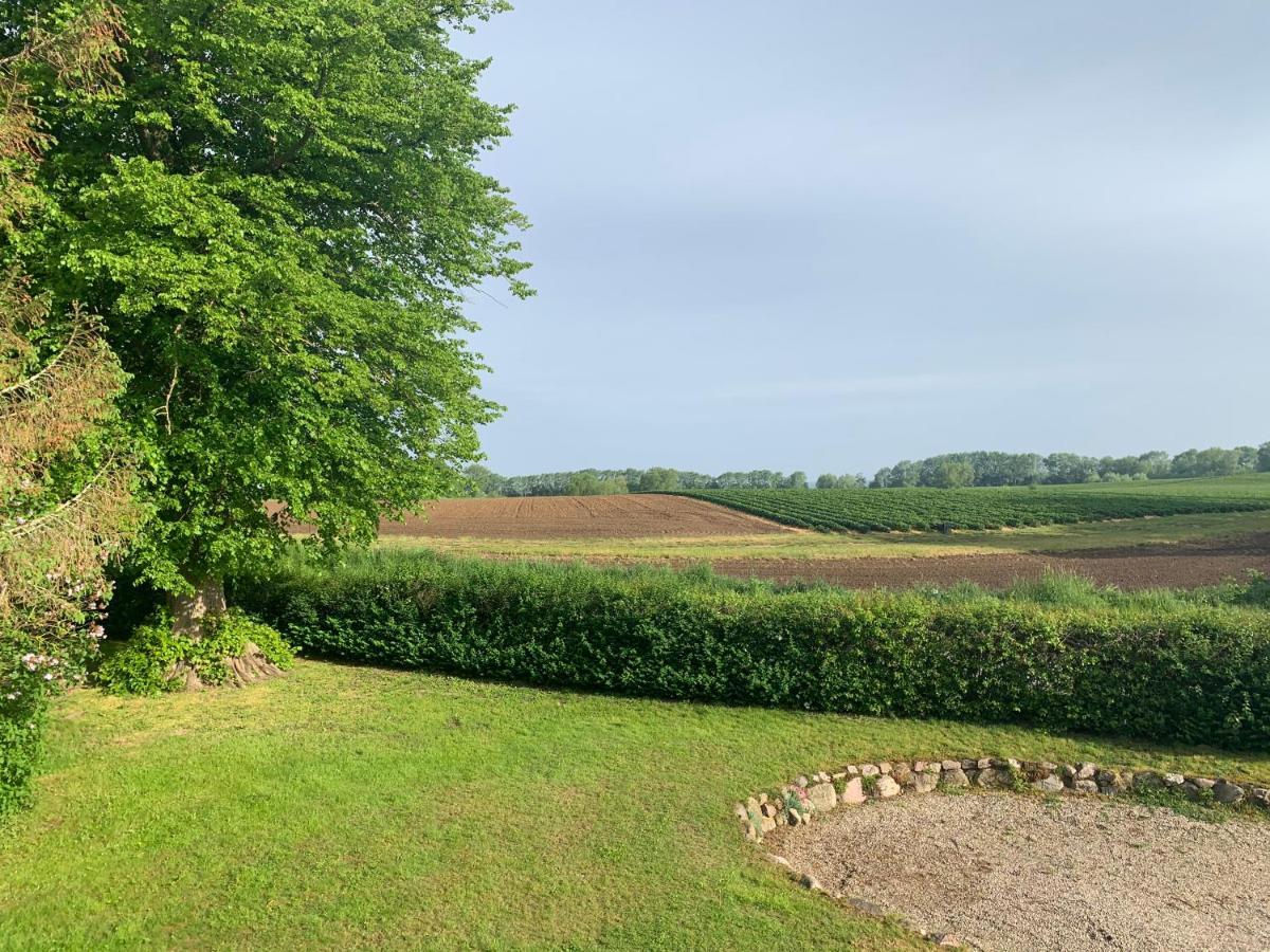 Reet Und Meer Beckerwitz Hohenkirchen  ภายนอก รูปภาพ